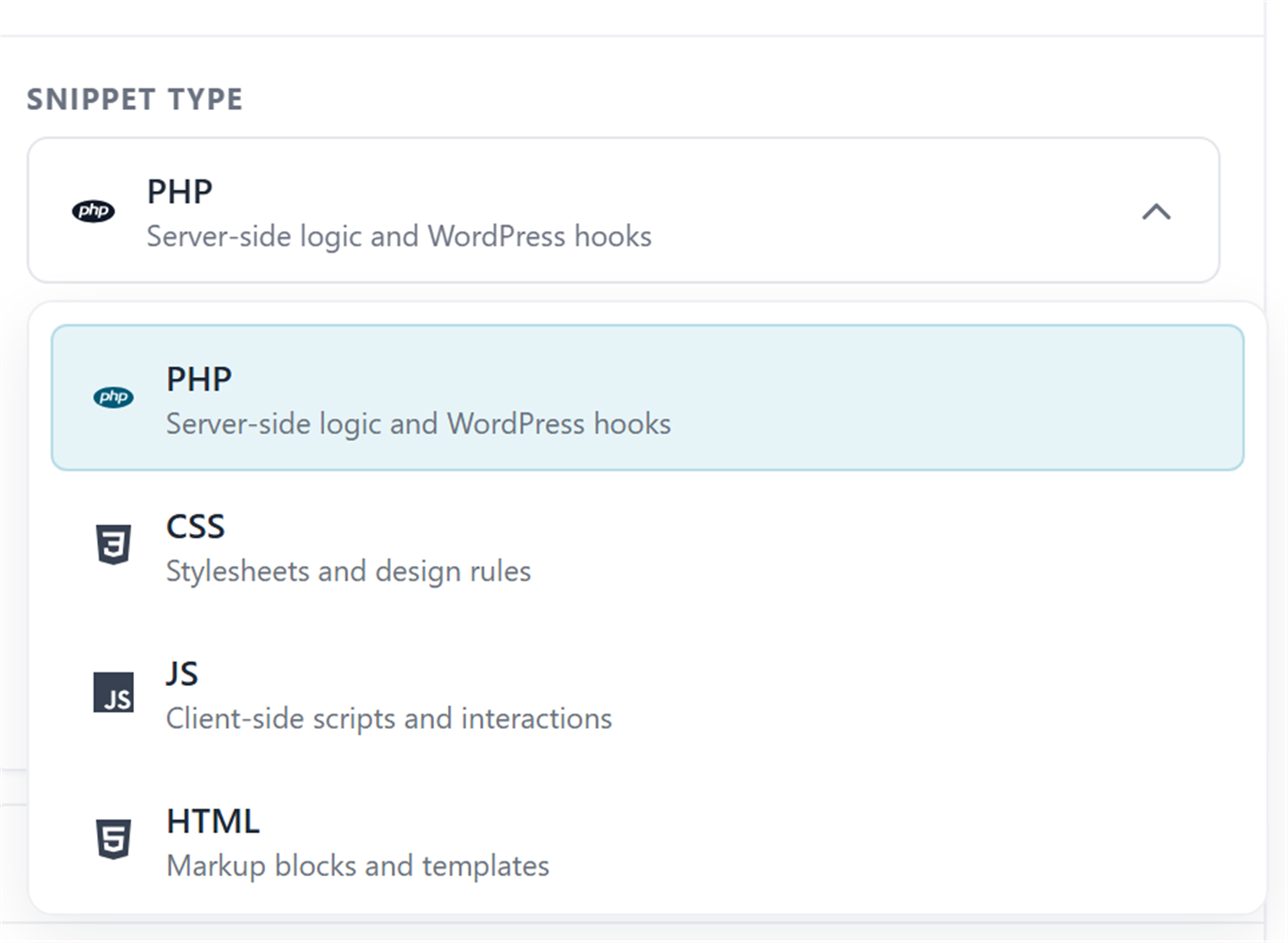 Snippet Type dropdown with PHP, CSS, JS, and HTML
